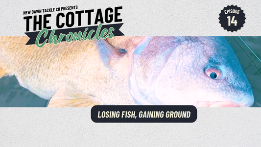 The Cottage Chronicles: Episode 14 - Losing Fish, Gaining Ground
