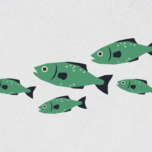 The Cottage Chronicles: Episode 4 - Freshwater Top 5