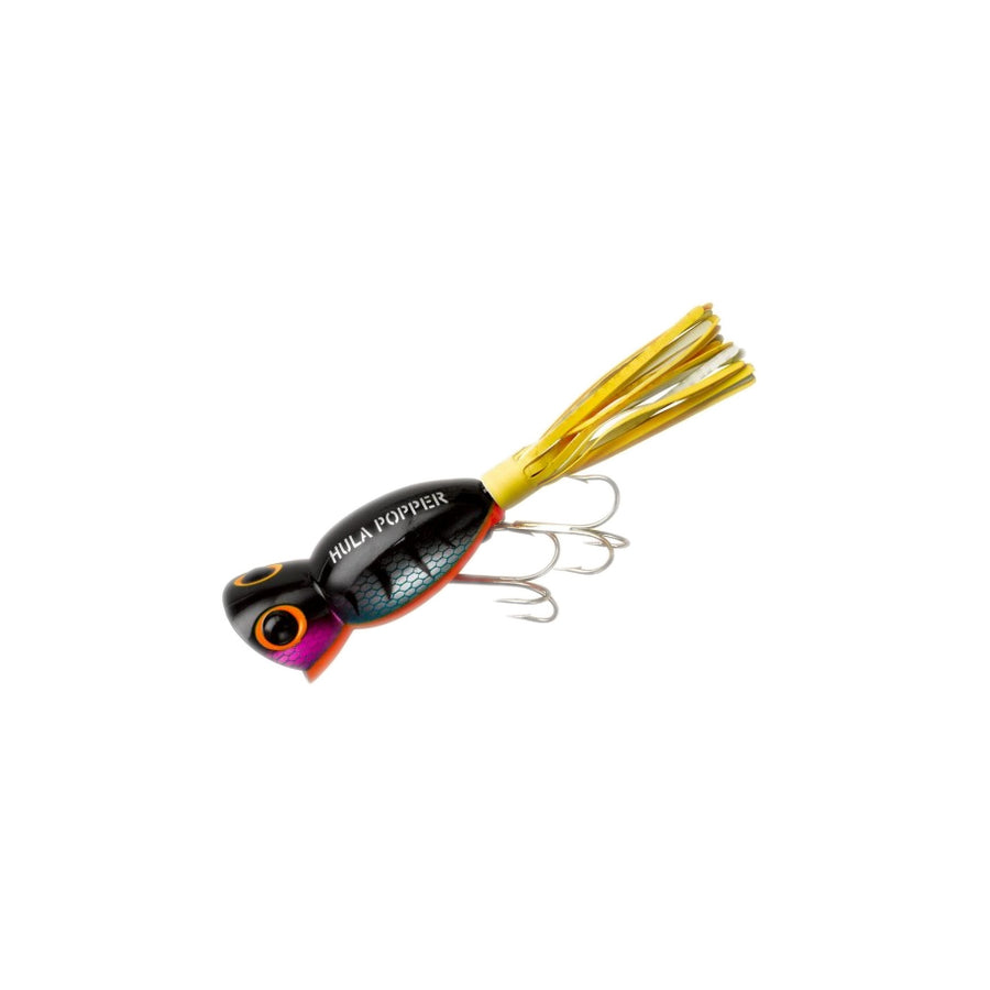 Hula Popper in Perch