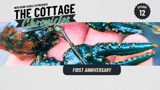 The Cottage Chronicles: Episode 12 - First Anniversary