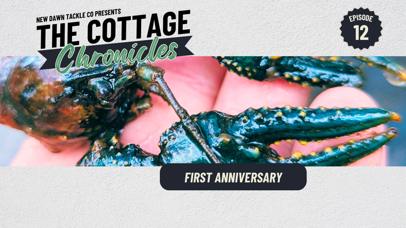 The Cottage Chronicles: Episode 12 - First Anniversary