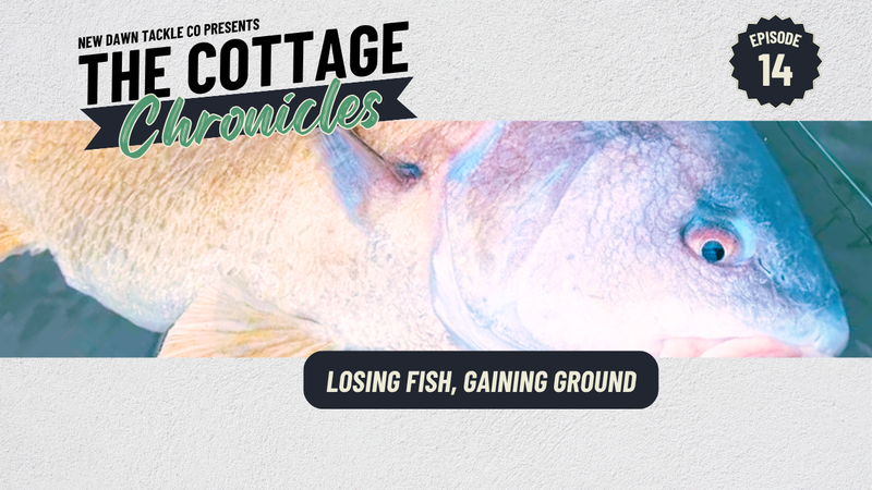 The Cottage Chronicles: Episode 14 - Losing Fish, Gaining Ground