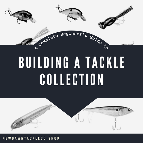 A Complete Beginner's Guide to Building a Tackle Collection