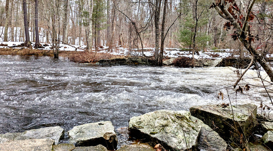 Rocky Riverbank Below a Dam