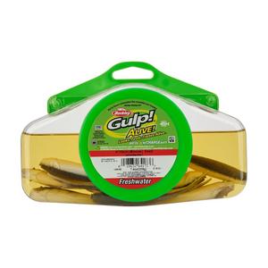 Gulp Alive Jar in Smelt